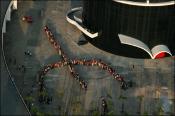 Imagem de Miniatura